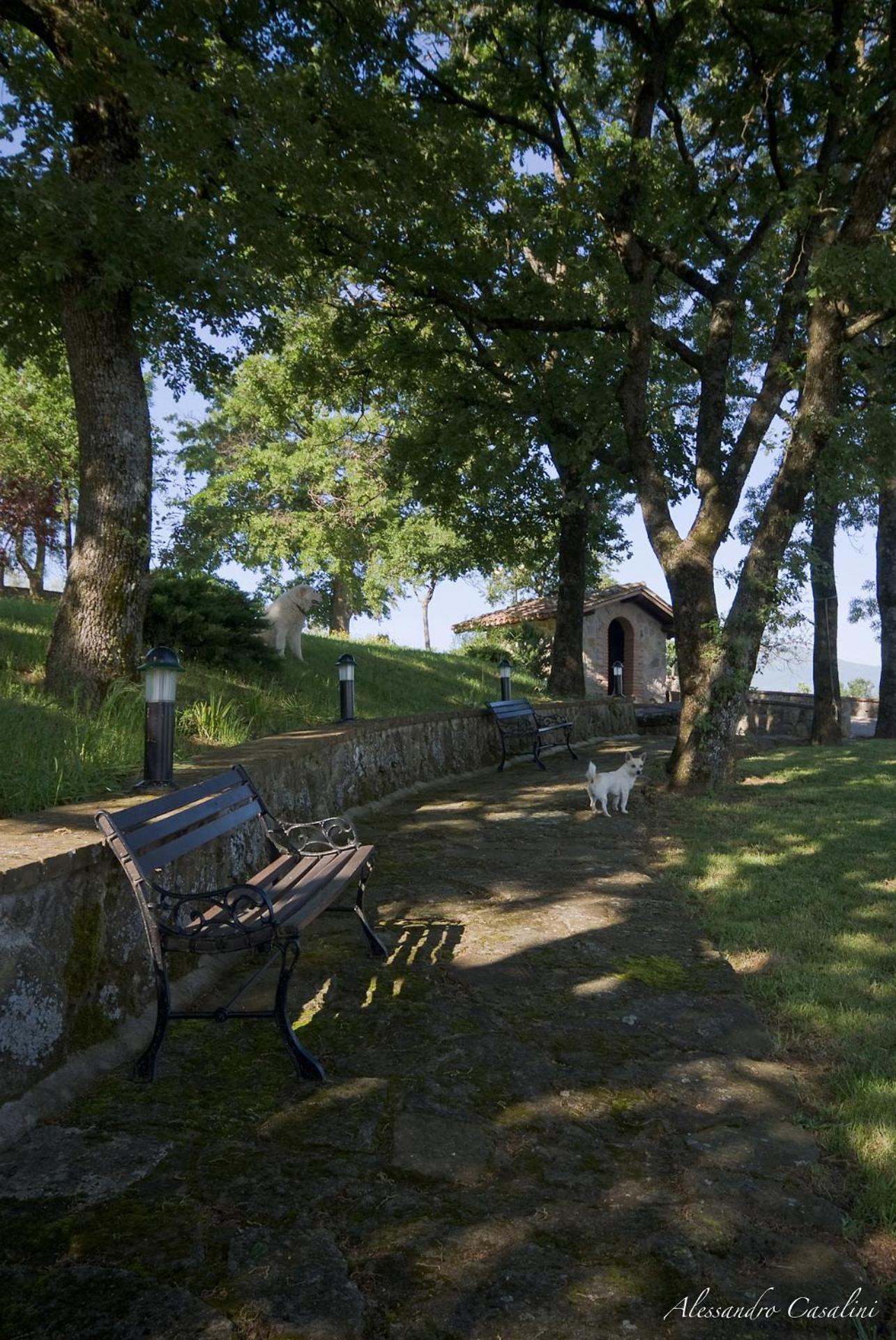 Agriturismo Selvella Radicofani Exteriör bild